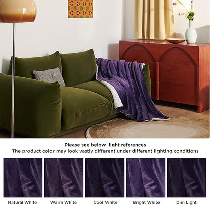 Bedsure GentleSoft Sherpa Fleece Throw Blanket Twin Size for Couch - Thick and Warm Throw Gifts for Women and Girls, Soft Fuzzy Plush Twin Christmas Blanket for Winter, Purple, 60x80 Inches