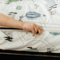 Beddy's Adventure & Wildlife Theme Durable Zipper Bedding for Kids, Bed in a Bag, Cream Comforter & Charcoal Sheets with Outdoor Explorer Design, Includes Pillowcase & Pillow Sham, Easy to Make & Wash