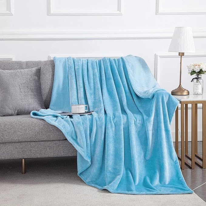 IR Imperial Rooms Fleece Blankets Queen Size 90 x 90 Inches - Super Soft Fluffy Light Blue Throw Blanket for Sofa and Bed - Warm and Cozy Lightweight 400 GSM Microfiber Bed Throws Blankets