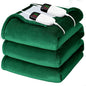 Heated Electric Blanket King Size - 90" x 100" Heating Blanket with Dual Control, 10 Heating Levels & 8 Hours Auto Off, Soft Warm Flannel Blanket, Christmas Birthday Gifts for Senior Grandma