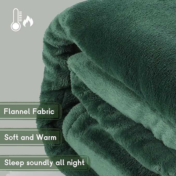 Heated Electric Blanket Queen Size 84''x90'', Dual Controller Soft Flannel with 5 Heat Settings 10 Hour Auto Off Large Blanket for Bed- Grass Green