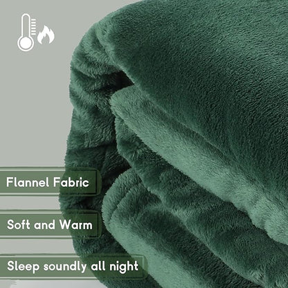 Heated Electric Blanket Queen Size 84''x90'', Dual Controller Soft Flannel with 5 Heat Settings 10 Hour Auto Off Large Blanket for Bed- Grass Green