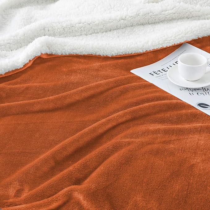 IR Imperial Rooms Sherpa Fleece Throw Blanket Twin Size for Couch - Thick and Warm Fluffy Rust Blankets for Winter, Soft and Fuzzy Twin Blanket for Bed, 60x80 Inches
