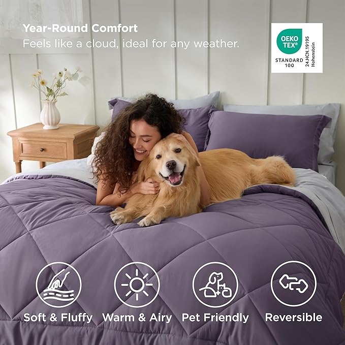 Bedsure Queen Comforter Set - 7 Pieces Reversible Grayish Purple Bedding, Queen Size Bed Set for All Seasons, Bed in a Bag with Down Alternative Comforter, Sheets, Pillowcases & Shams