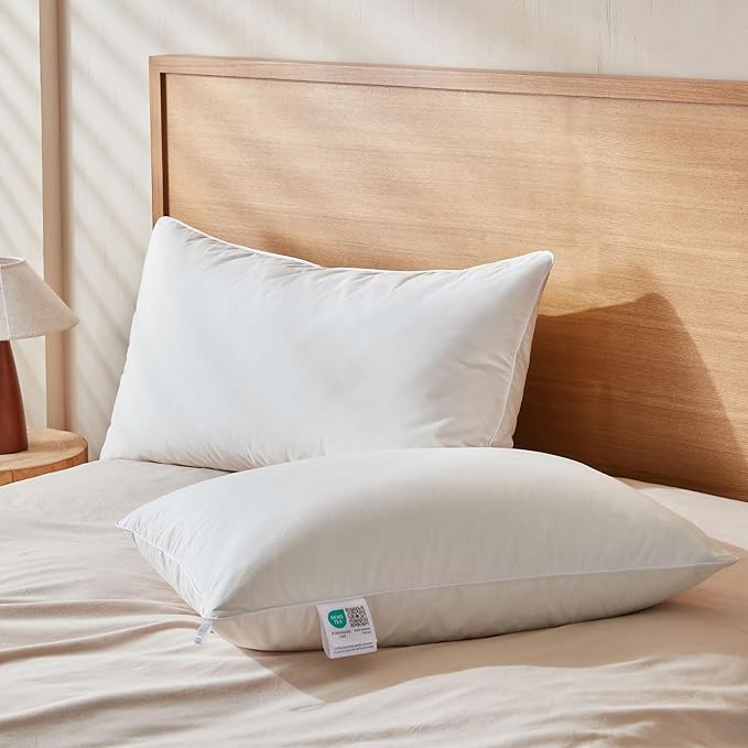 Goose Feather Down Pillows Queen Size Set of 2, Soft Pillows with 100% Organic Cotton Fabric, Luxury Hotel Quality Bed Pillow 2 Pack for Sleeping, Breathable & Fluffy (20" x 30")