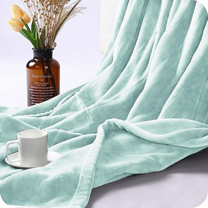 Electric Heated Blanket King Size 90×100, Comfortable & Luxurious Flannel, 4 Heating Levels & 10 H Auto Shut Off, Mint Green