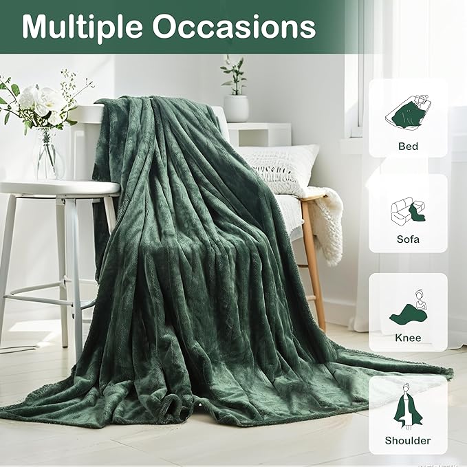 Electric Heated Blanket Queen Size 84"x90", Dual Control Fast Heating Cozy Heated Blanket for Bed, 10 Hours Auto Off & 4 Heating Levels, Warm Gift for Grandma-Sage Green