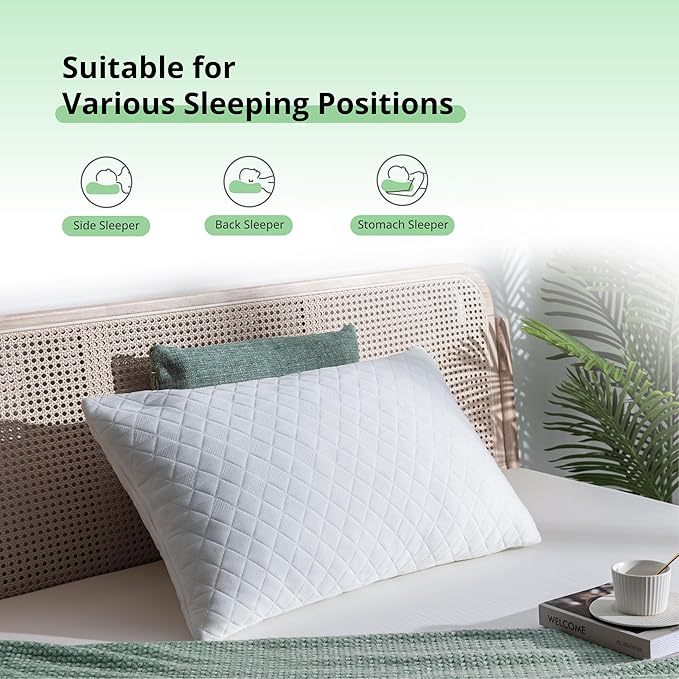 EGOHOME Shredded Memory Foam Pillows, Adjustable Bed Pillows for Side, Back or Stomach Sleepers, Neck Pillows for Sleeping, Queen Size Pillow with Removable Cover(Pack of 1, Adjustable)