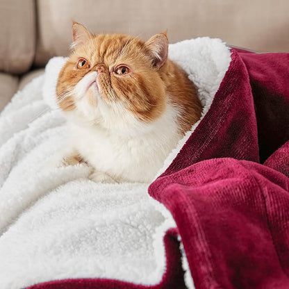 Bedsure GentleSoft Sherpa Fleece Throw Blanket Twin Size for Couch - Thick and Warm Throw for Girls and Women, Soft Fuzzy Plush Twin Christmas Blanket for Winter, Red, 60x80 Inches