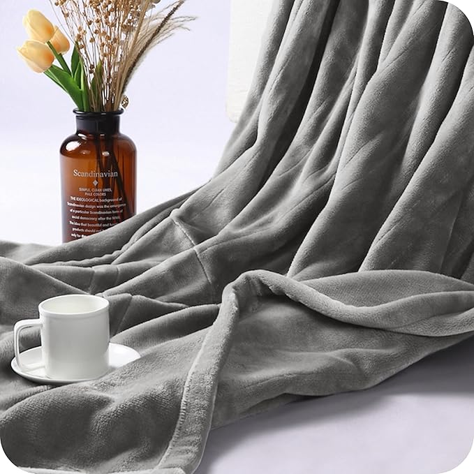 Electric Heated Blanket Twin Size 62×84, Breathable & Luxurious Flannel,Soft Warm Gift with Over-Heat Protection,4 Heating Levels & 10 H Auto Shut Off, Machine Washable, Light Grey