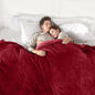 Heated Blanket Electric Blanket Queen Size, Super Soft Cozy Upgraded Flannel Fast Heating Blanket Dual Control with 5 Heating Levels & 10 Hours Auto Off, Machine Washable, 84" x 90", Burgundy