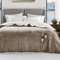 Degrees of Comfort Electric Heated Blanket Queen Size with Dual Control - Soft Flannel Heating Blankets with 6 Heat Settings, Auto Shut-Off, Overheat Protection, ETL Certified - 84x90'', Mocha