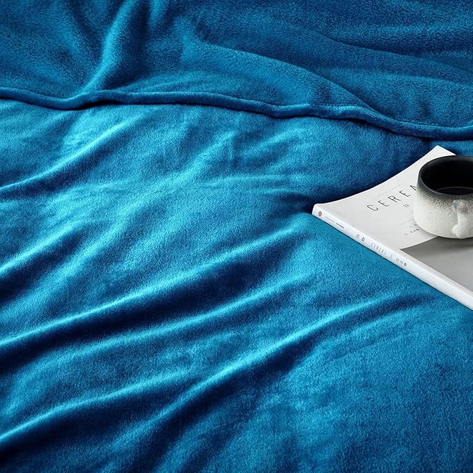IR Imperial Rooms Fleece Blankets Queen Size 90 x 90 Inches - Super Soft Fluffy Throw Blanket for Sofa and Bed - Warm and Cozy Lightweight 400 GSM Microfiber Bed Throws Blankets (Queen, Teal)