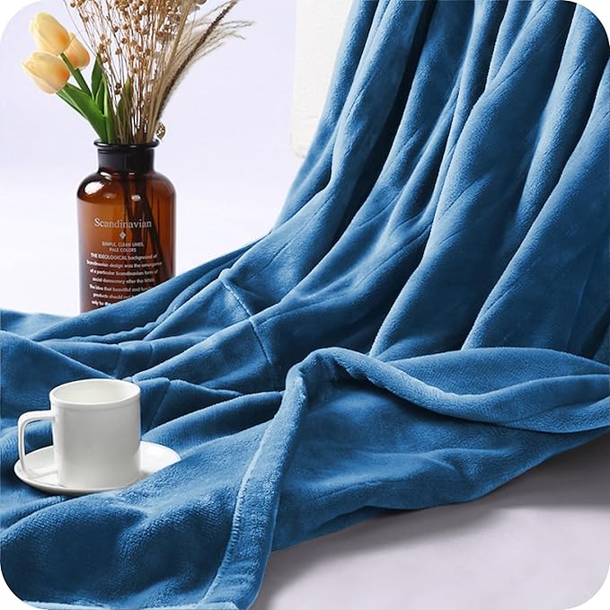 Electric Heated Blanket Twin Size 62×84, Breathable & Luxurious Flannel,Soft Warm Gift with Over-Heat Protection,4 Heating Levels & 10 H Auto Shut Off, Machine Washable, Lake Blue