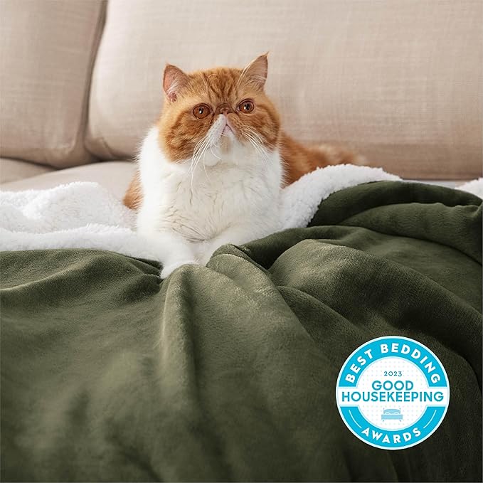 Bedsure GentleSoft Sherpa Fleece Throw Blanket for Couch - Thick and Warm, Soft Fuzzy Plush Throw Blanket for Winter, Olive Green, 50x60 Inches