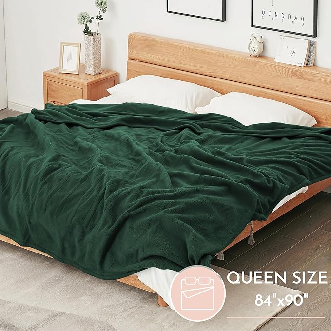 Electric Heated Blanket 84"x90" Queen Size Microplush Cover Blanket, 4 Heat Settings & 10 Hours Auto Off, Cozy & Breathable, Warm All Night, Grass Green