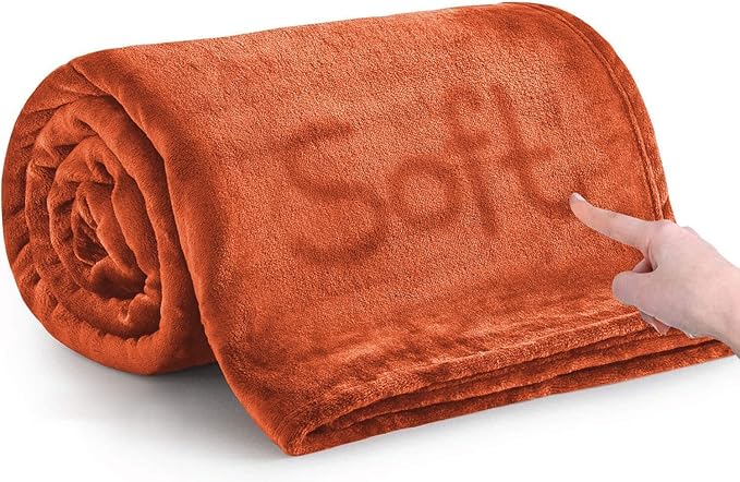 IR Imperial Rooms Fleece Blankets Queen Size 90 x 90 Inches - Super Soft Fluffy Throw Blanket for Sofa and Bed - Warm and Cozy Lightweight 400 GSM Microfiber Bed Throws Blankets (Queen, Rust)