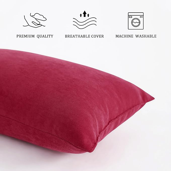 BEDSUM 2 Pack Pillows, 13"x18" Microfiber Pillow for Travel, Pets, Soft and Machine Washable Small Pillows for Neck, Wrist, and Knee Comfort, Red