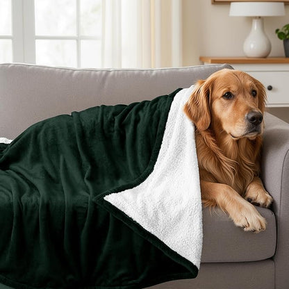Utopia Bedding Sherpa Blanket Queen Size (Forest Green, 90x90 Inches) - Soft Lightweight Plush Fleece Reversible Blanket for Bed, Sofa, Couch, Camping and Travel
