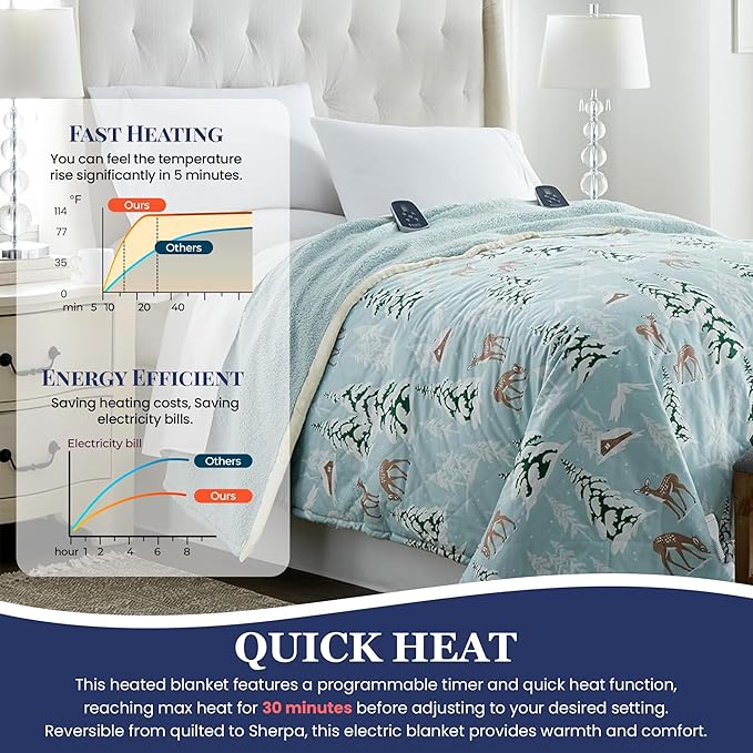 Thermee Micro Flannel Heated Blanket with Sherpa Back, 10-Setting Programmable Electric Blanket, Ultra-Soft Heated Throw - Queen Size, Winter Landscapes