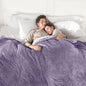 Electric Blanket Queen Size, Super Soft Cozy Upgraded Flannel Heated Blanket Dual Control with 5 Heating Levels & 10 Hours Auto Off, Fast Heating & Overheat Protection, 84" x 90", Lavender