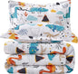 JSD Dinosaur Kids Comforter Set Queen Size, 3 Piece Printed Microfiber Comforter with Pillow Sham, Machine Washable