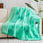 greenoak Heated Electric Blanket Throw, Faux Fur Sherpa Heating Blanket for Sofa Bed, Warm Winter Gifts for Women/Her, Heater Lap Blankets 5-Position Timer &10 Heating Levels 62''*84" Aqua