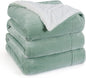 Bedsure GentleSoft Sherpa Fleece Blankets Queen Size for Bed - Thick and Warm Throw for Women and Men, Soft Fuzzy Plush Queen Blanket for Winter, Sage Green, 90x90 Inches