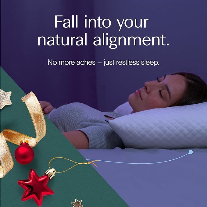 DreamyBlue Signature Pillow w/Adjustable Loft • Shredded Memory Foam Fill • Neutral Alignment for Side, Back, and Stomach Sleepers • Washable Bamboo Rayon Cover • CertiPUR-US Certified Foam (King)