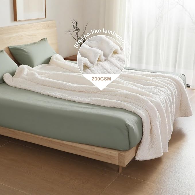 Electric Heated Blanket Queen Size 84"×90" Dual Control, 6 Heating Settings & 1-10H Auto Off, Heating Double Sided Plush Sherpa, Fast Heating, Machine Washable White