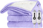 Electric Heated Blanket 84"x90" Queen Size Microplush Cover Blanket, 4 Heat Settings & 10 Hours Auto Off, Cozy & Warm for All Night, Machine Washable, Light Purple