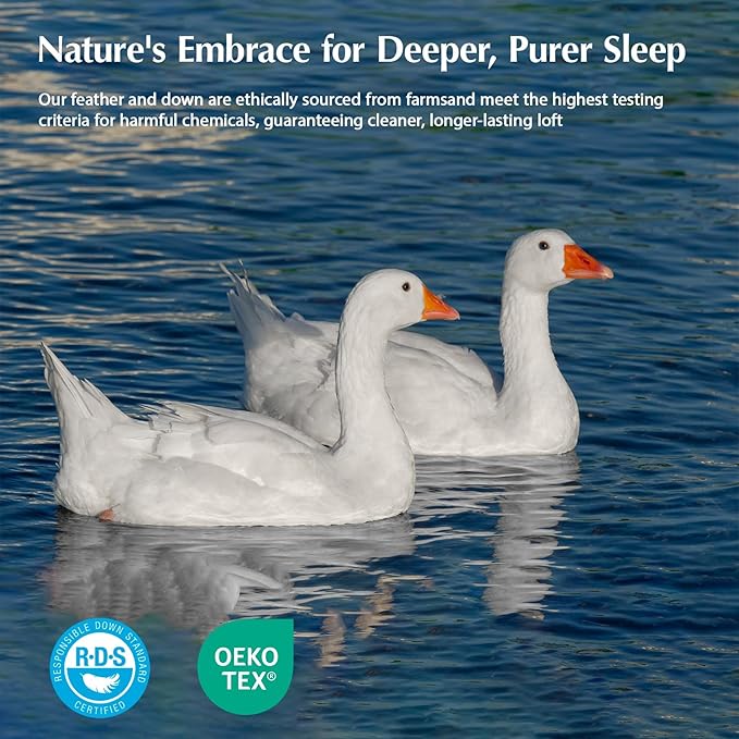 PACIFIC COAST Goose Down Fiber Comforters Oversized Queen Duvet Insert, All Season White Comforter, 3D Hidden-Stitch Baffle Box Design, 8 Tabs, Gifts for Women/Men, Extra Fluffy Luxury Duvet (98"x98")