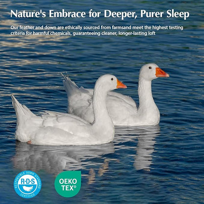 PACIFIC COAST Goose Down Fiber Comforters California King Duvet Insert, All Season White Comforter, 3D Hidden-Stitch Baffle Box Design,8 Tabs, Gifts for Women/Men, Extra Fluffy Luxury Duvet (104"x96")