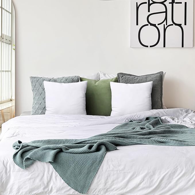Utopia Bedding Throw Pillows Insert (Pack of 2, White) - 20 x 20 Inches Bed and Couch Pillows - Indoor Decorative Pillow