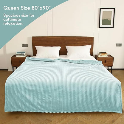 Heated Electric Blanket Queen Size 84''x90'', Dual Controller Soft Flannel with 10 Heat Settings 1-12 Hour Auto Off Large Blanket for Bed - Pale Green