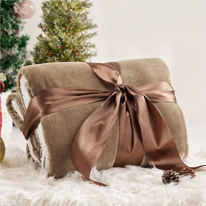 Bedsure GentleSoft Sherpa Fleece Throw Blanket Twin Size for Couch - Thick and Warm Throw for Women and Men, Soft Fuzzy Plush Twin Blanket for Winter, Brown, 60x80 Inches