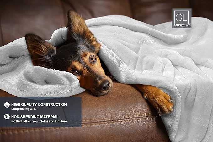 Comfort Lab Reversible Flannel Sherpa Throw Blanket - Elegant Fluffy Throw Blankets for Couch and Home Decor - Anti Pilling Non Shedding Cozy & Warm Fleece Throws - Kids/Pet (40" x 50") - White
