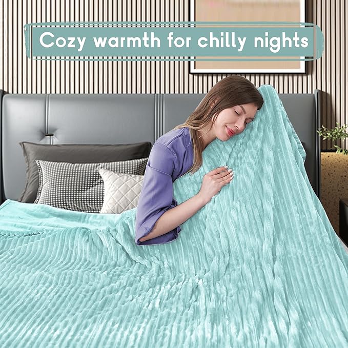Heated Electric Blanket Queen Size 84''x90'', Dual Controller Soft Flannel with 10 Heat Settings 1-12 Hour Auto Off Large Blanket for Bed - Pale Green