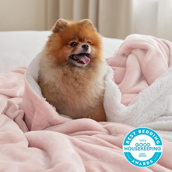 Bedsure GentleSoft Sherpa Fleece Throw Blanket Twin Size for Couch - Thick and Warm Throw Gifts for Women and Girls, Soft Fuzzy Plush Christmas Blanket for Winter, Room Home Decor, Pink, 60x80 Inches
