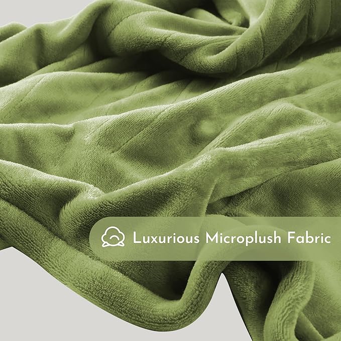 Electric Heated Blanket 84"x90" Queen Size Microplush Cover Blanket, 4 Heat Settings & 10 Hours Auto Off, Cozy & Warm for All Night, Machine Washable, Green