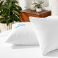 Bare Home Premium Pillow Protectors - Standard Size (2 Pack) - Premium 100% Waterproof & Breathable - Cooling - Vinyl Free Hypoallergenic - 10 Year Warranty (Standard Size, Pack of 2)