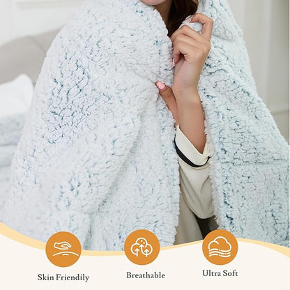 Electric Heated Blanket 84"x90" Queen Size - 4 Heat Settings & Dual Controllers, 10H Auto Shut Off, Ultra-Soft Sherpa Heated Blanket with Overheat Protection, Light Blue