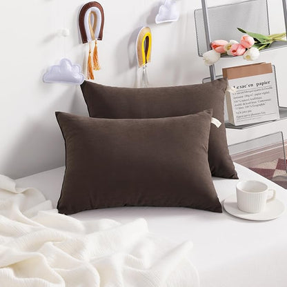 NTBAY Toddler Pillows, Down Alternative 13"x18" Pillows, Machine Washable - Soft and Breathable Travel Small Pillows for Sleeping, Ideal for Daycare, Crib, Cot, Dark Brown