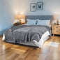 Electric Heated Blanket 84"x90" Queen Size Microplush Cover Blanket, 5 Heat Settings & 10 Hours Auto Off, Cozy & Warm for All Night, Machine Washable, Light Grey