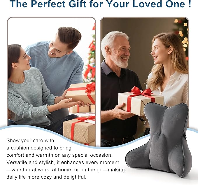 Lumbar Support Pillow – Ergonomic Multi-Zone Back Cushion for Lower Back Pain Relief, Ideal for Office Chair, Car Seat & Home Reading,Steel Gray