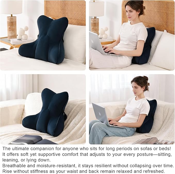 Lumbar Support Pillow – Multi-Functional Ergonomic Back Cushion for Office Chair, Car Seat & Sofa, Reading Pillow with Firm Multi-Zone Support to Relieve Lower Back Pain,Teal Blue