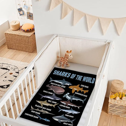 Shark Blanket for Adult Kids Shark Gifts for Shark Lovers Warm Plush Sharks of The World Throw Blanket for Couch Bedding Room Decor Shark Plush Gifts for Boys Birthday Decor 30"x40"-XS