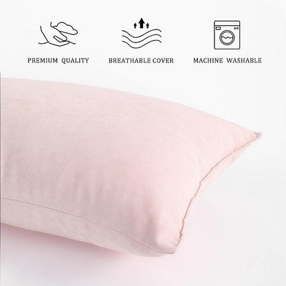 BEDSUM 2 Pack Pillows, 13"x18" Microfiber Pillow for Travel, Pets, Soft and Machine Washable Small Pillows for Neck, Wrist, and Knee Comfort, Pink
