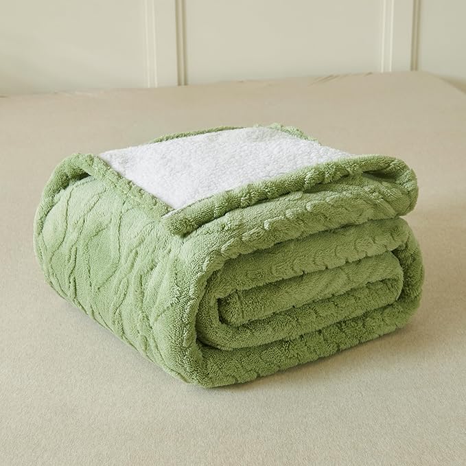 Heated Blanket Electric Blanket, 50"×60" Heating Blanket, 5 Heating Level, 1-12 Hour Auto Off, Intelligent Overheat Protection (Sage Green)