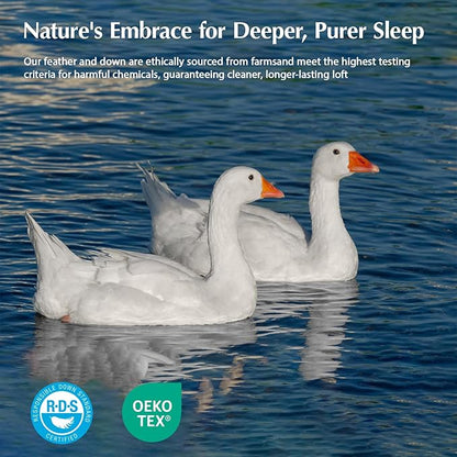 Pacific Coast Goose Feather Down Fiber Comforters Queen Size, Extra Fluffy White Duvet Insert, Ultra-Soft, Breathable, All Season Hotel Luxury Bedding Comforters, 8 Corner & Center Loops (90"x90")